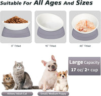 17 oz Raised Cat Food Bowls, Adjustable-Angle Pet Bowls - Milky White, Light blue & Milky White, Grey - image 3