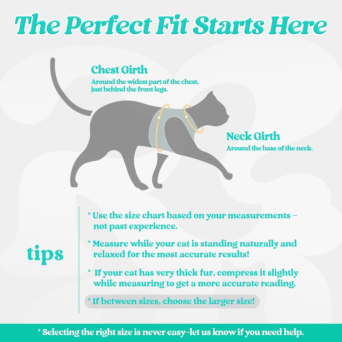 rabbitgoo Cat Harness and Leash Set, Step-in Soft Vest - L / Turquoise & Green - image 2