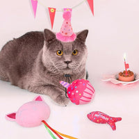 BINGPET Catnip Toys for Indoor Cats, Cat Birthday Hat and Interactive Plush Kitten Chew Toys - Cute Cake, Fish, Balloon Toys with Crinkle Paper and Catnip Inside Pink