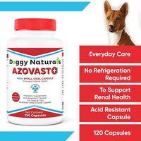 Azovast Plus Kidney Health Supplement for Dogs & Cats, 360ct - NO Refrigeration Required - Help Support Kidney Function & Manage Renal Toxins - Renal Care Supplement Capsule(U.S.A)(360 Caps)