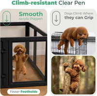 FXW AuraSpace Clear Acrylic Indoor Dog Playpen, 24" H - Black / 24"H / 12 Panels - image 2