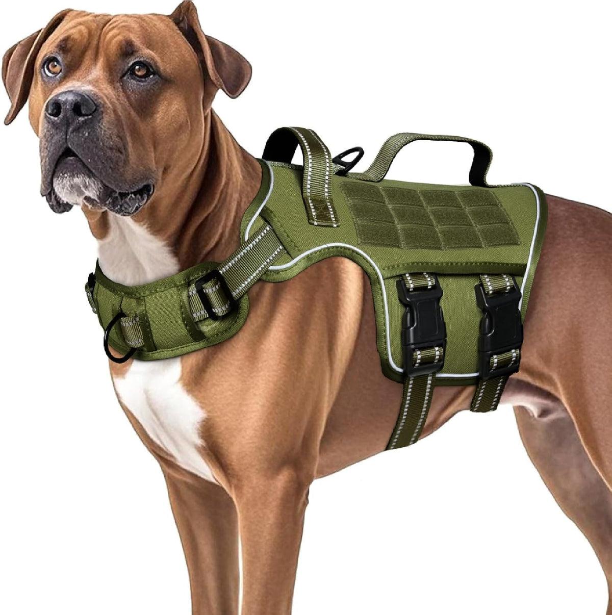Dog Harness for Large Dogs - Green / L(Neck:18-24",Chest:25-36"),45-80 lbs