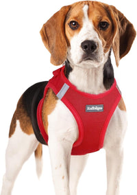 rabbitgoo Step-in Small Dog Harness - Red / Xl(chest:20.0"-21.8")