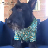 Parisian Pet Tribal Camp Dog Beach Shirt - 100% Cotton - XL Summer Clothes - Stylish Costume - Breathable and Cool - Machine Washable