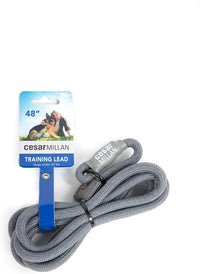 Cesar Millan Slip Lead Leash, Dog Leash, in Training Leash - regular / Grey
