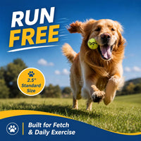 INSUM Tennis Balls for Dogs - Medium / Classic - image 3