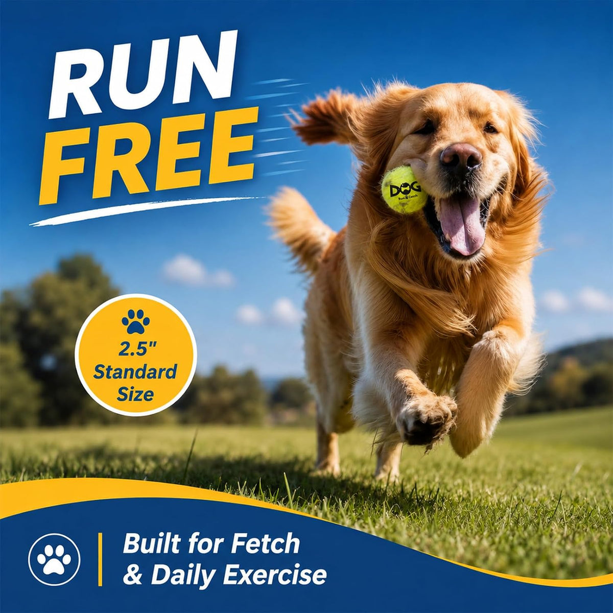 INSUM Tennis Balls for Dogs - Medium / Classic - image 3