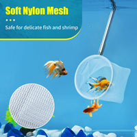 AQUANEAT Small Fish Tank Shrimp Net - Round / 2 Inch - image 2