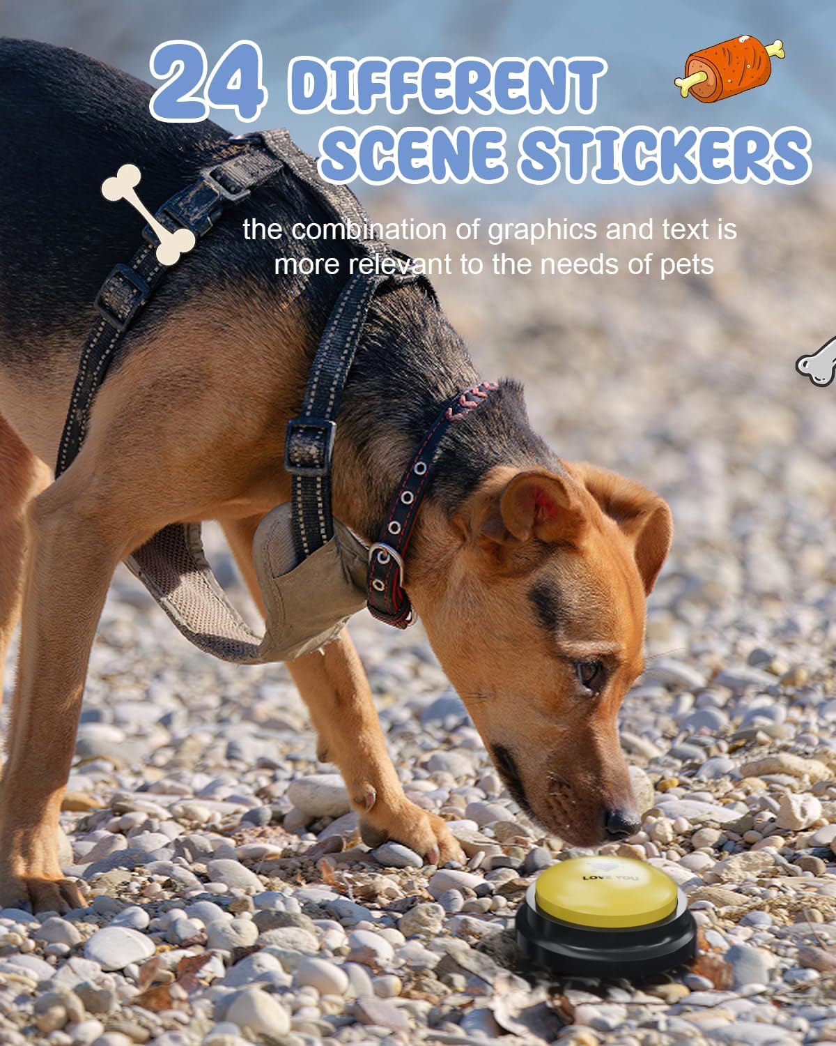 Dog Buttons for Communication - B-6 Pack - image 3