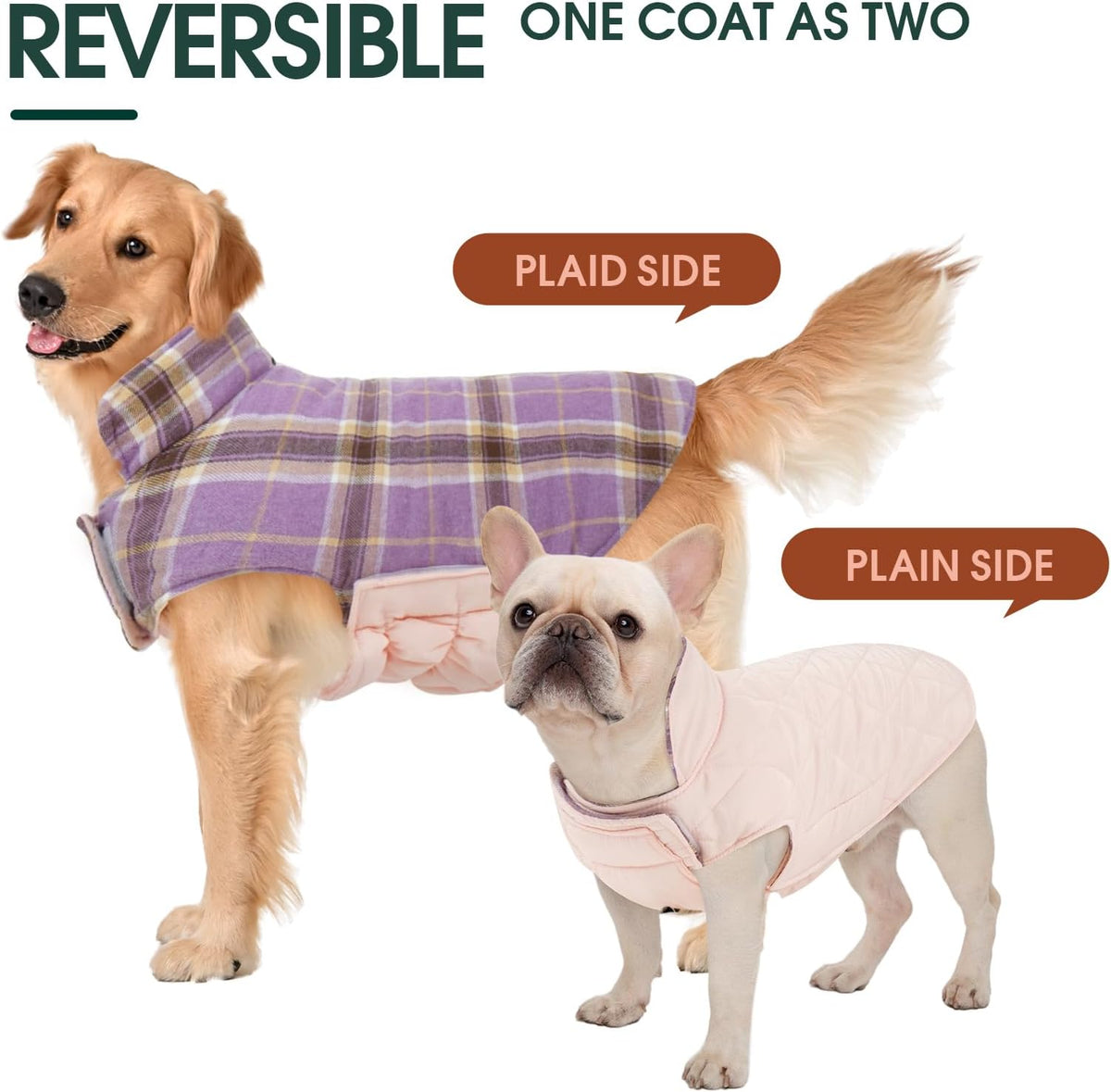 Kuoser Waterproof Dog Coat - Lavender / X-Large (Pack of 1) - image 3