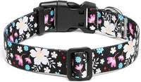 Mercano Adjustable Dog Collar - Special Design Patterns, Soft Nylon Comfortable Durable Pet Collar for Small Medium Large Dogs (XS, Floral White)