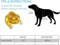 Slip Lead Dog Leash, etc. - 6 pcs / 6ft - image 2