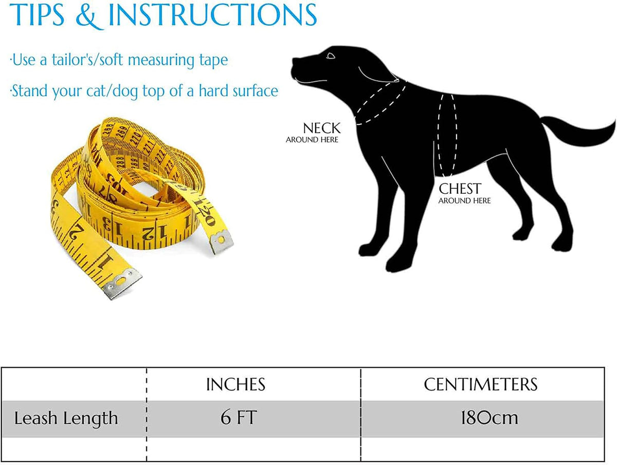 Slip Lead Dog Leash, etc. - 6 pcs / 6ft - image 2