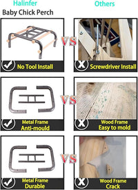 Metal Ladder Large Bird Training Perch for Fun and Exercising, No Tool Quick Install Heavy-Duty Rustproof Table Training Perch with Wooden Bars for African Grey Macaw Amazon Parrot
