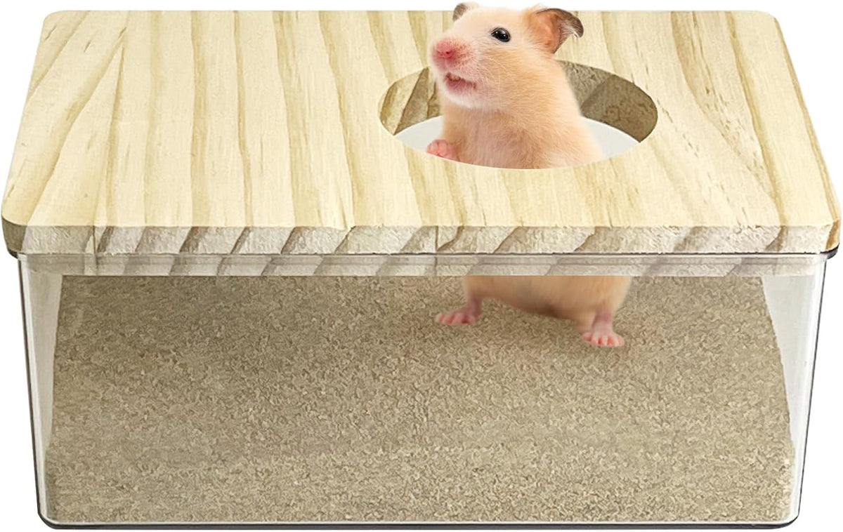 kathson Hamster Sand Bath Box Transparent Acrylic Small Animals - Small - Rectangle