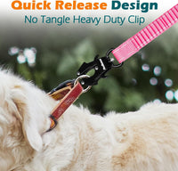 PetBonus Bungee Dog Leash Extension - Pink - image 2