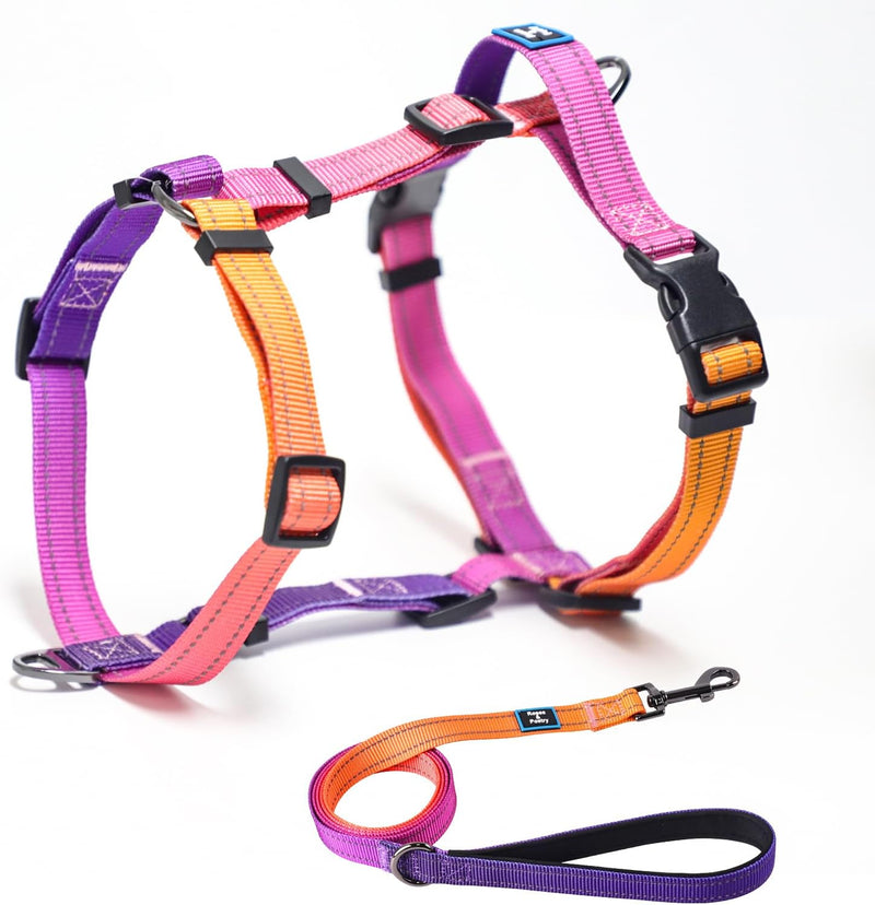 Roses&Poetry Small Dog Harness and Leash Set - Mistyrose / Large