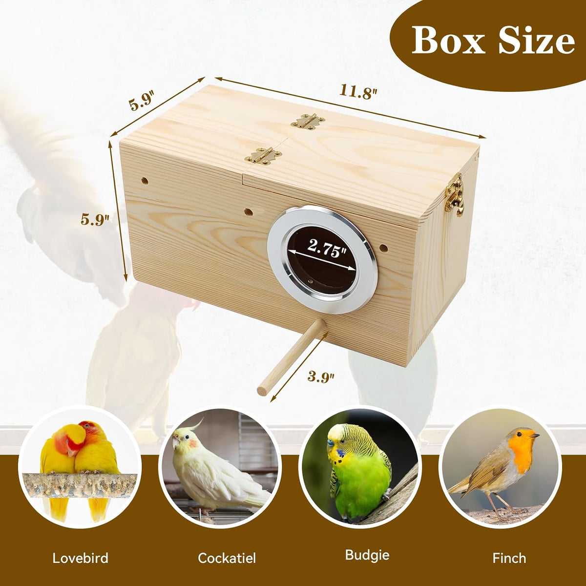 Transparent Parakeet Nesting Box - L: 11.8"x5.9"x5.9": - image 3