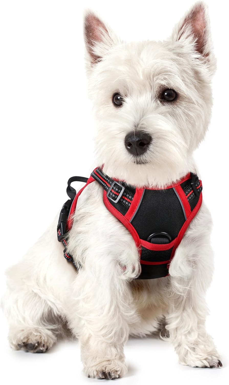 rabbitgoo Dog Harness, No Pull for Large Dogs with 2 Leash Clips - X-Small / Black & Red