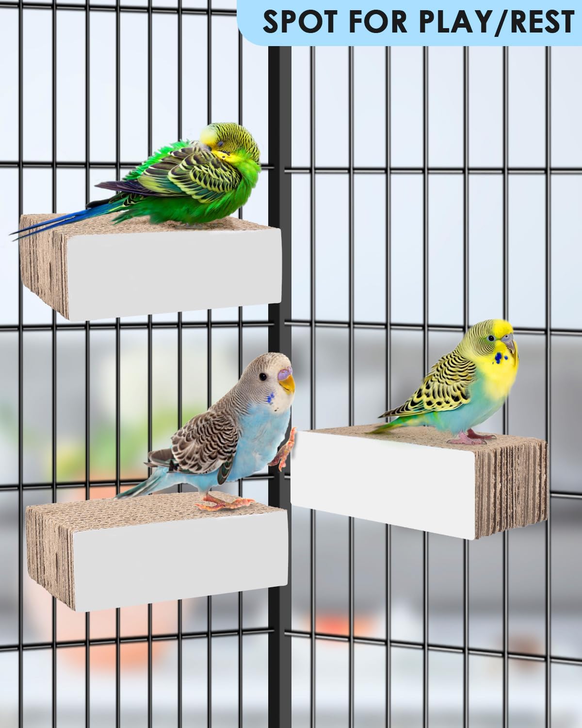 KATUMO Parrot Toys, 7.87 Inch Conure Shredder Foraging Chew Toys Bird Perch Stand Cardboard - S - image 4