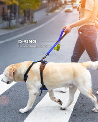 Joytale Short Dog Leash for Close Control & Training, 18" - 1 ft / Navy Blue - image 3