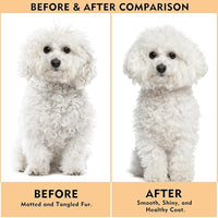 Dog Slicker Brush for Shedding & Grooming - Professional Dog Brush and Cat Brush with Coated Tips & Air-Cushion Design, Deshedding Tool Removes Undercoat Tangles & Loose Fur for Long/Short Hair Pets