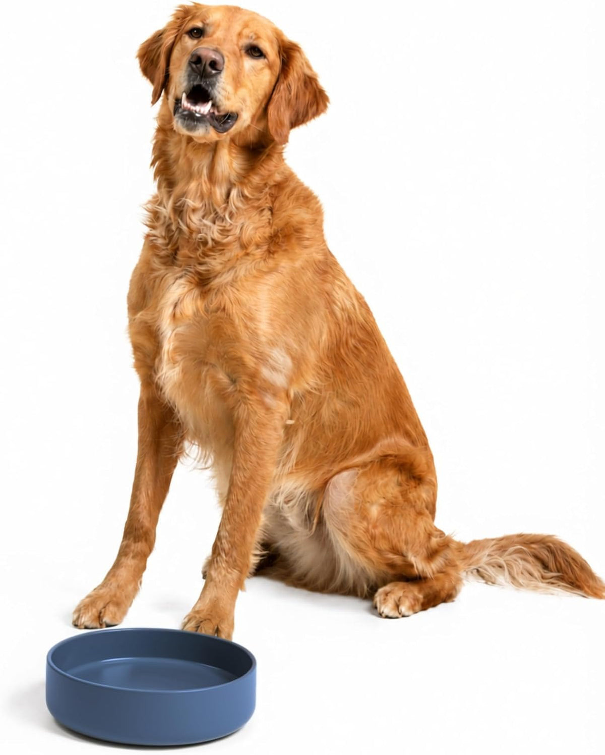 The Perfect Dish, Silicone Dog Bowl for Food & Water - Ocean Blue / Large (9.5” Across and 2.5” Tall)