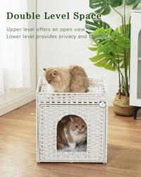 Cat Beds Indoor Kitten House, PE Rattan Cat Cave - White / Rectangle-XL - image 2