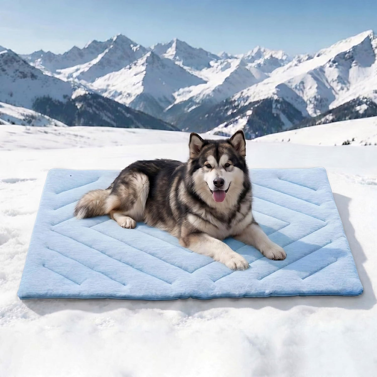 Dog Cooling Mat Self Coolings Foldable Cooling Pad for Dog in Summer - Rectangle,Blue / X-Large-59"L x 40"W