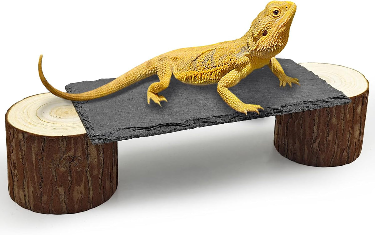 Bearded Dragon Basking Platform - L - 8" x 4" x 2.4"