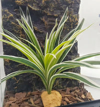 Reptile Plants Terrarium Decor, Reptile Tank Decorations - Fake Spider Plants - image 3