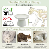 VCEPJH Elevated Cat Bowls 6.1in Wide Shallow Ceramic Raised Food Dish – Essentials for Cats - White(Pack of 1) - image 3