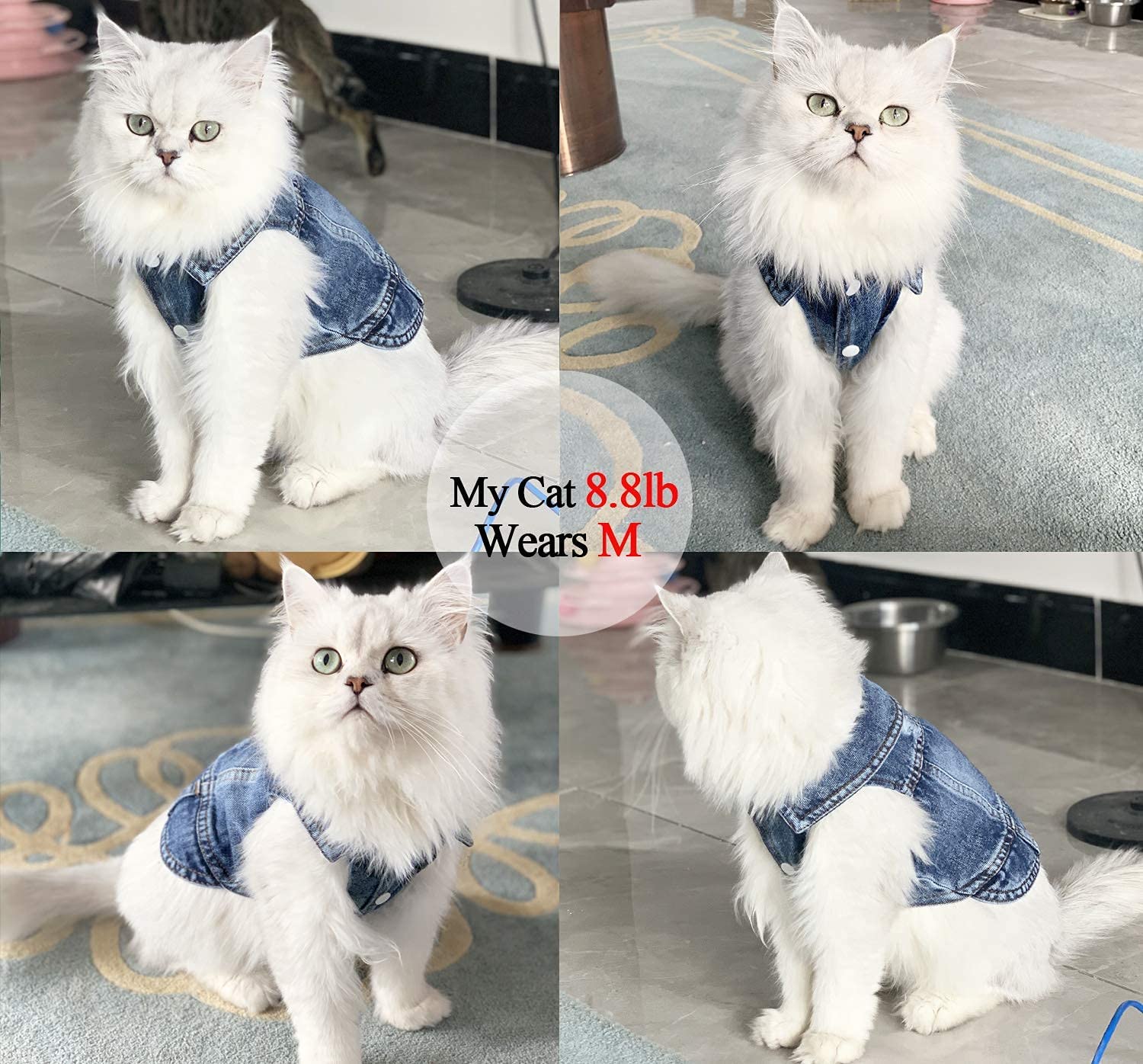 Pet Dog Cat Blue Denim Jeans Jacket Coat Vest - BIG FRENCHIES