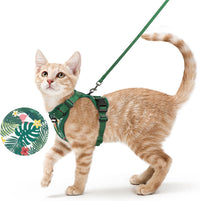 rabbitgoo Cat Harness and Leash Set, Escape Proof Vest - S / Rainforest Green