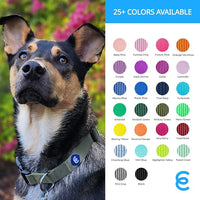 Blueberry Pet Essentials Medium Dog Collar in Rouge Red | Adjustable & Eco-Friendly Durable Nylon Strap | Classic Collar for Medium Dogs, Boy & Girl Pets