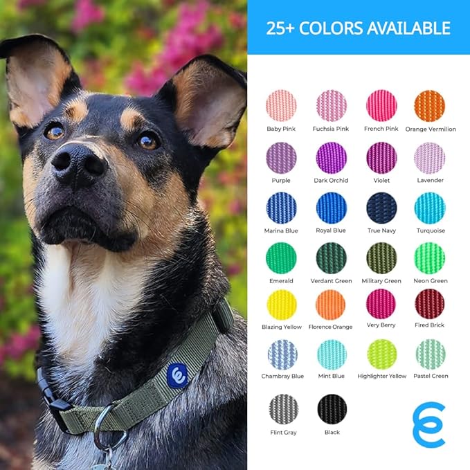 Blueberry Pet Essentials Medium Dog Collar in French Pink | Adjustable & Eco-Friendly Durable Nylon Strap | Classic Collar for Medium Dogs, Boy & Girl Pets