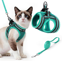rabbitgoo Cat Harness and Leash Set, Step-in Soft Vest - L / Turquoise & Green