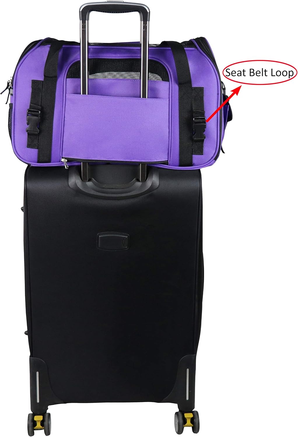 EliteField Soft-Sided Pet Carrier for Cats & Small Dogs – Essentials for Dogs - 19.0"L x 10.0"W x 13.0"H / Purple - image 2