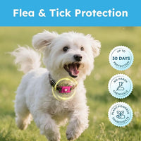 BugMD Paw Guardian Refill, Plant-Powered Flea & Tick Protection Tablets, 3 Count, 30-Day Protection, Natural Essential Oil Formula