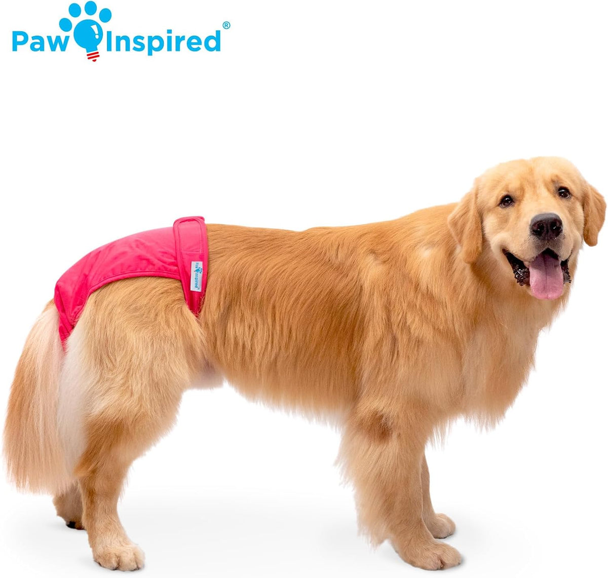 Paw Inspired Washable Dog Diapers, Assorted and White Lining - Assorted (White Lining) / X-Large (2 ct.) - image 3