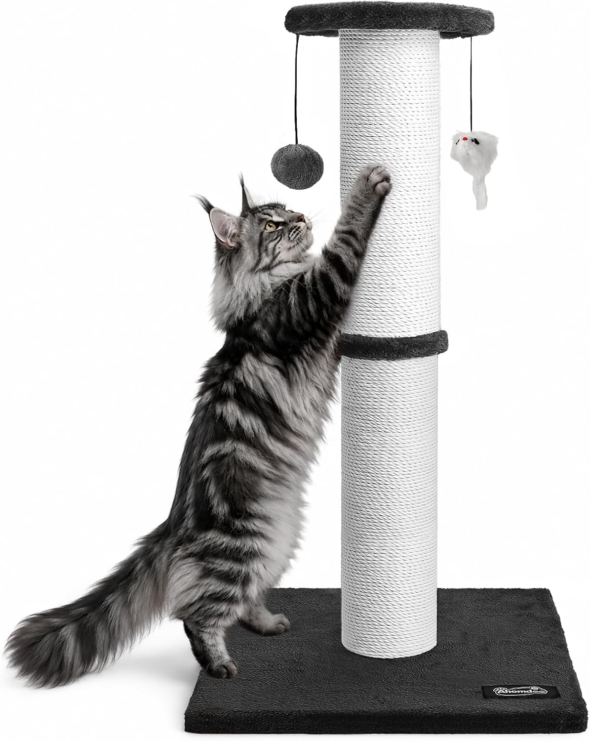 34-Inch Tall Cat Scratching Post for Large Cats, Stable Base - Black