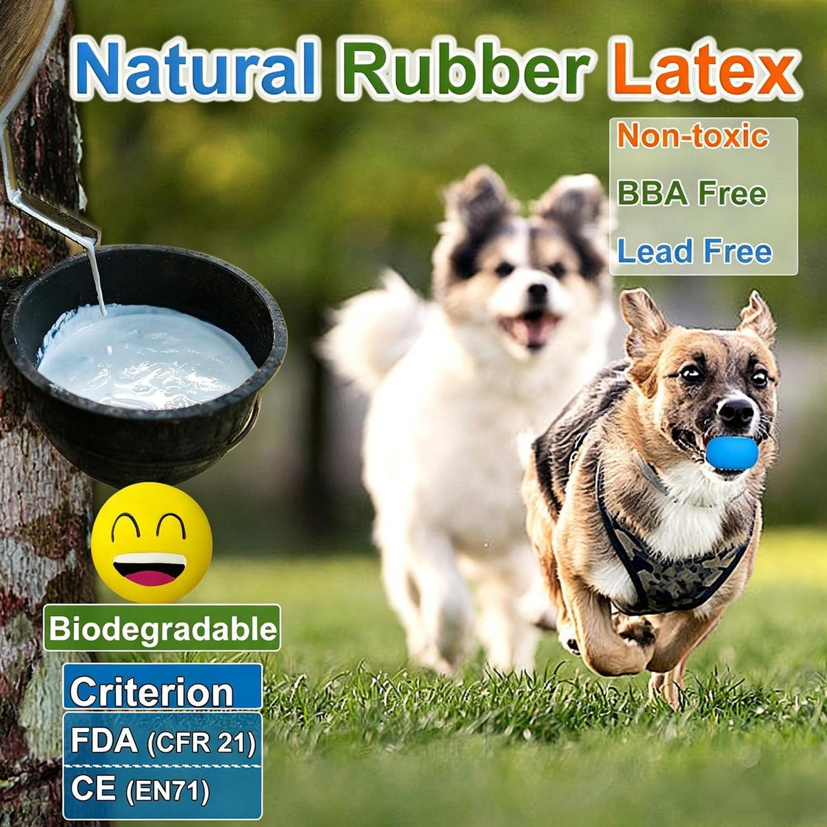 Latex Squeaky Dog Toys for Small Dogs & Mini Breeds - image 3