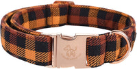 Elegant little tail Fall Dog Collar - Black and Yellow / X-Large (Pack of 1)