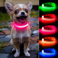 Light Up Collar for Small Dogs& Cats - XS (9.45-14inch / 24-35.5cm) / Pink