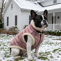 Retro Aviator Dog Jacket – Faux Leather Winter Coat with Plush Sherpa Fleece Lining for Bulldog - Pink / X-Large - image 3