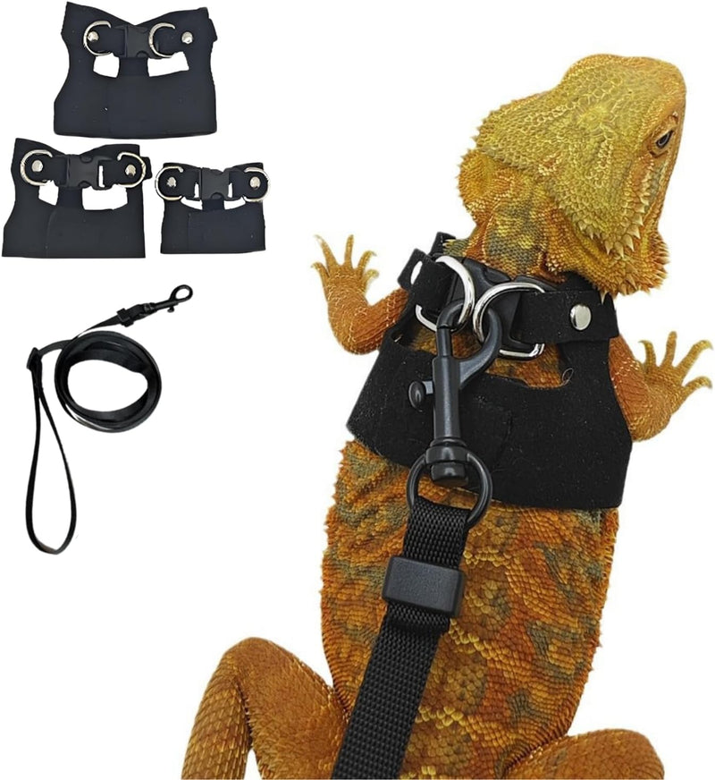 3 Pack Bearded Dragon Harness and Leash Set - Black