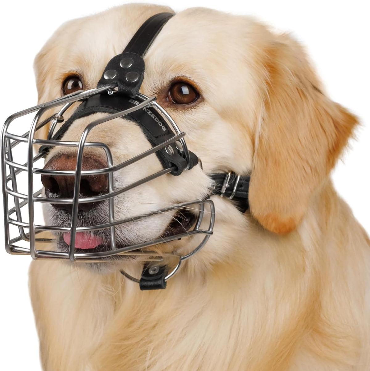 Stainless Steel Wire Basket Dog Muzzle for Husky – Essentials for Dogs - Stainless Steel / Belgian Malinois & Golden Retriever