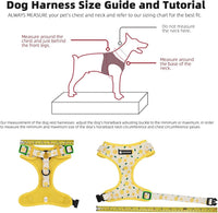 Dog Harness and Leash Set, Adjustable Dog Harness, Dog Leash - Watermelon / XS(Chest 9.9 - 13.5", Neck 7.8 - 10.2") - image 3