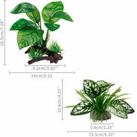 Moonorange Reptile Artificial Plants - M Set-g-2