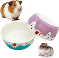 2 Pack Ceramic Guinea Pig Food Bowl Hamster Food Bowls for Gerbil Rat – Essentials for Small Pets - Purple + Blue
